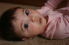 800px.img_5400