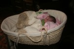 IMG_3242 IMG_3242