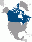 ca_large_locator
