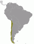 ci_large_locator