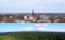 Estonia-Forest