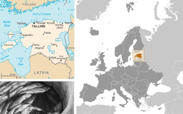 map of indonesia and surrounding countries. images map of Europe from