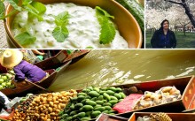 Collage1