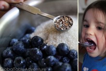 Blueberry-Ice-Cream