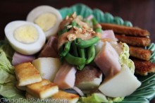 indonesia.GadoGado