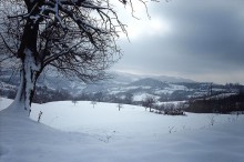 Desivojca. Photo by Durim Shkodra.