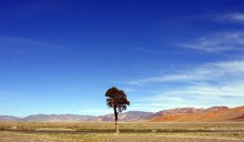 Western Mongolia. Photo by tiarescott.