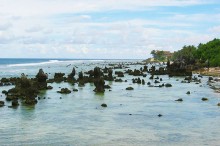 Coral reef on the beach in Nauru. Photo by D-Online
