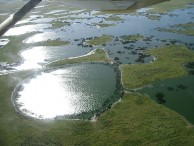 wetlands-south-america