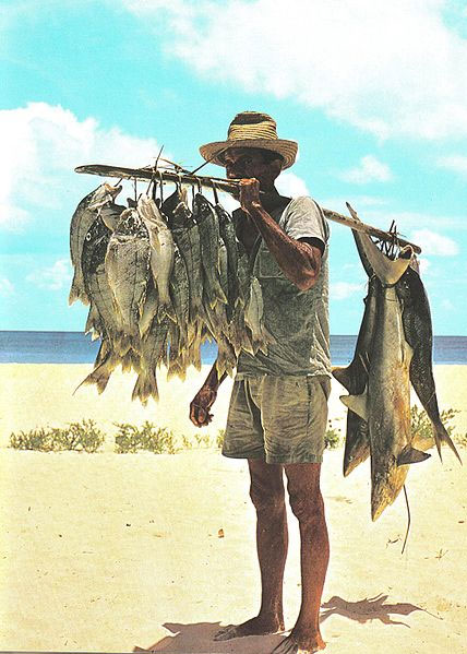 Fisherman and his catch, Seychelles. The fishes in this catch, including small sharks, were hooked on hand lines many miles off shore. Photo by Maxime Fayon (1977)
