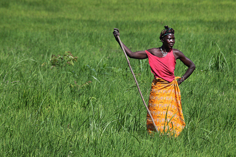 Woman in Sierra Leone. Photo by Steve Evans.