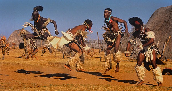 Many African dances involve jumping including ritual dances of the Zulu. In the background are the typical traditional Zulu huts and vegitation (aloes) of the higher regions of Kwazulu Natal, South Africa. Photo by Hein waschefort.