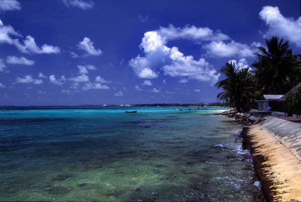A beach at Funafuti atoll, Tuvalu, on a sunny day. Photo by Stefan Lins.