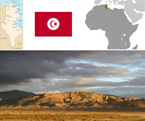 Maps and flag courtesy of CIA World Factbook. Photo of Landscape in Tozeur–Nefta International Airport (Tunisia), by Gloumouth1.