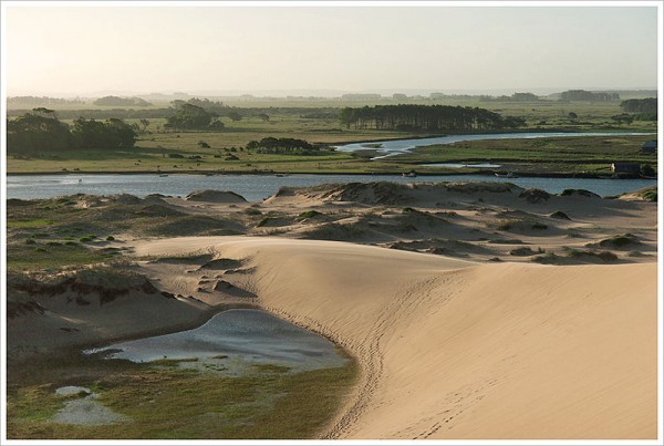 Sand dunes in Rocha, Uruguay. Photo by Montecruz Foto.