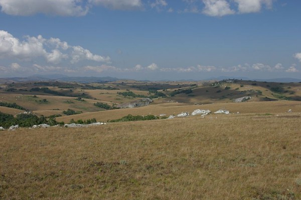Typical Landscape of the Nyika Plateau by Dr. Thomas Wagner