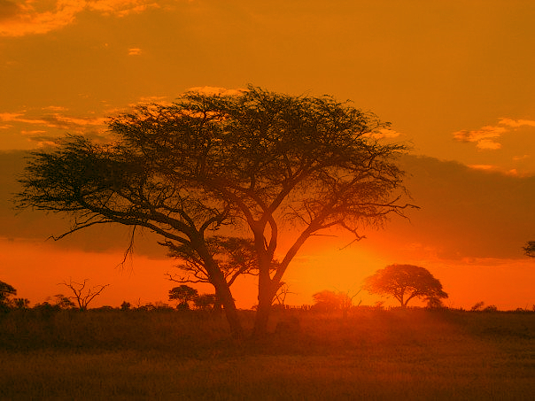 Sunrise Matobo National Park. Photo by Macvivo.