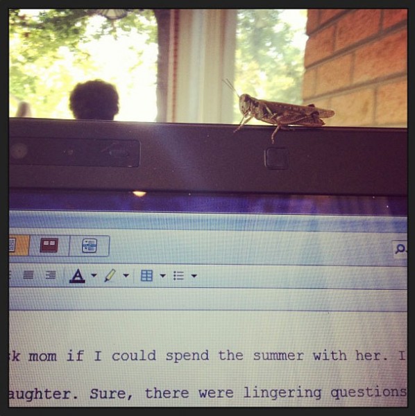 grasshopper-writing