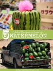 recipes-and-ideas-to-use-up-watermelon