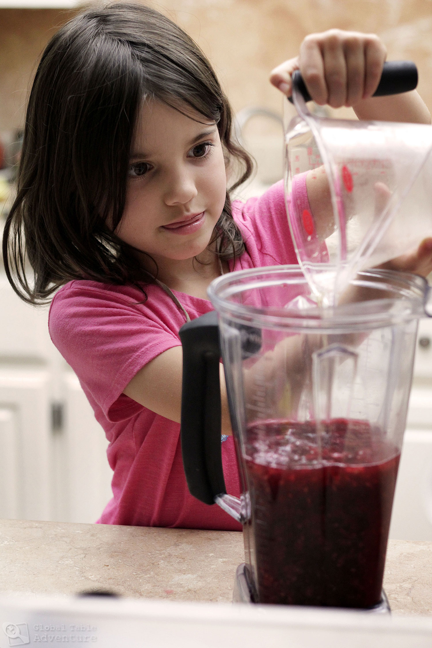 Raspberry Hibiscus Paletas Recipe