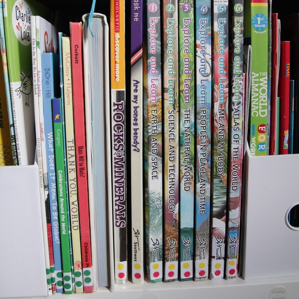 How to organize your book collection Global Table Adventure