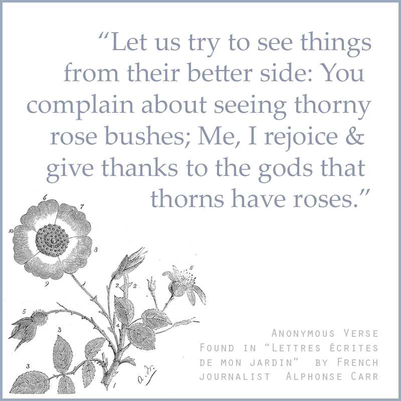 “Let us try to see things from their better side: You complain about seeing thorny rose bushes; Me, I rejoice and give thanks to the gods That thorns have roses.” ― Anonymous verse found in “Lettres écrites de mon jardin” by French journalist Alphonse Carr.