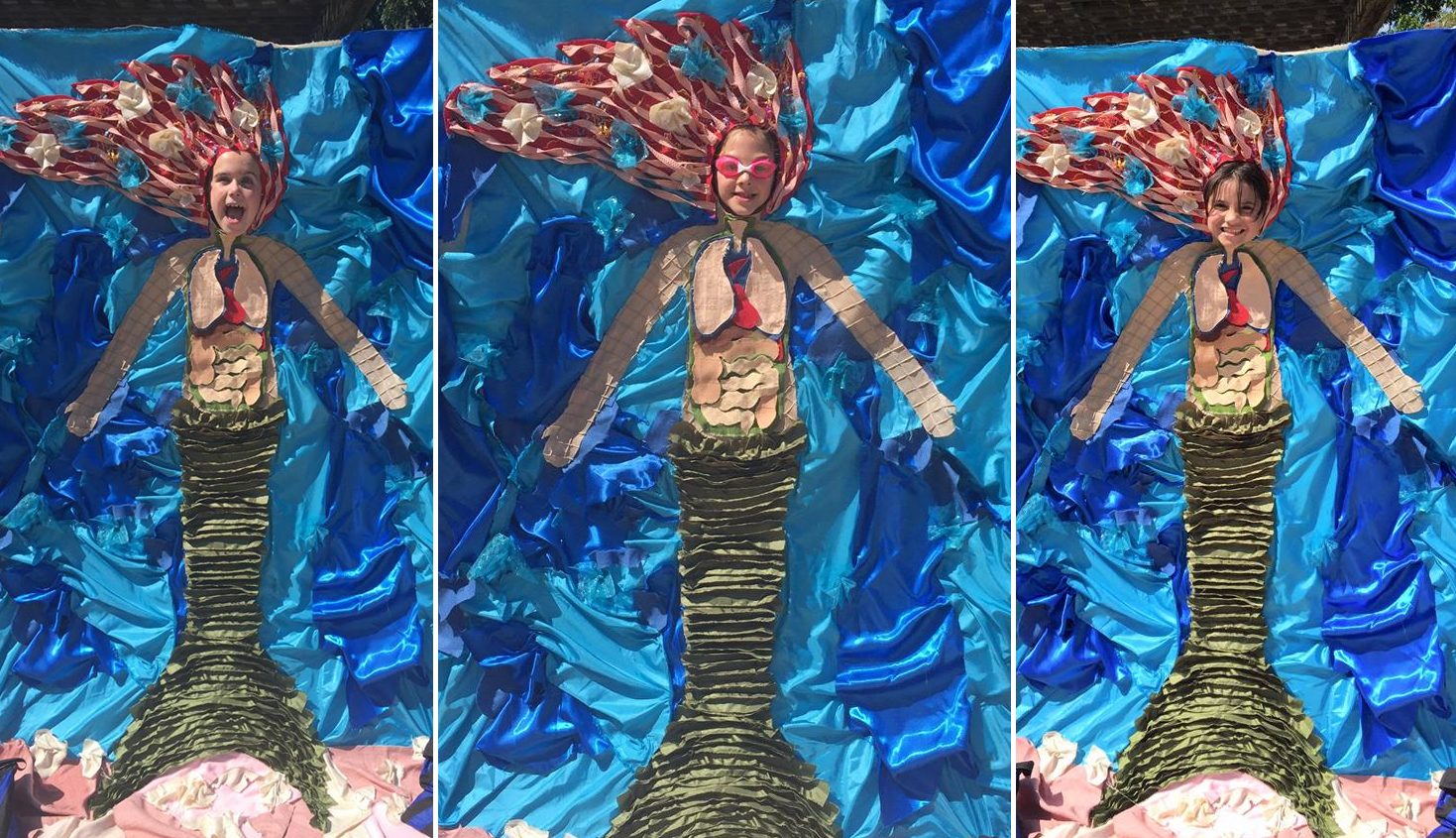 Science of Mermaids Party: Mermaid Photo Opp Cutout